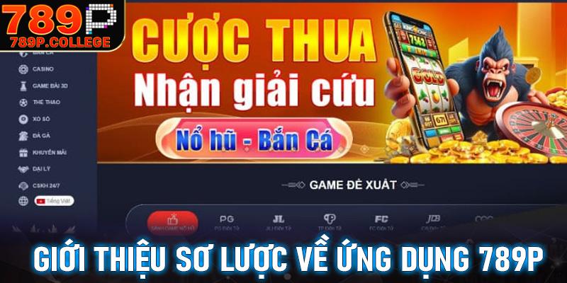 Giới thiệu sơ lược về ứng dụng 789P