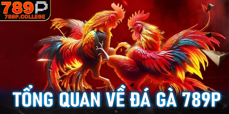 Thông tin tổng quan về sân chơi đá gà 789P