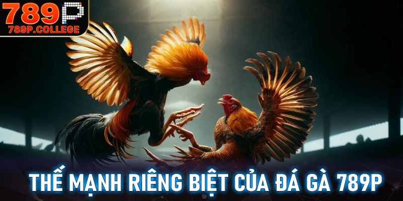 Những thế mạnh riêng biệt của sàn đặt cược đá gà 789P