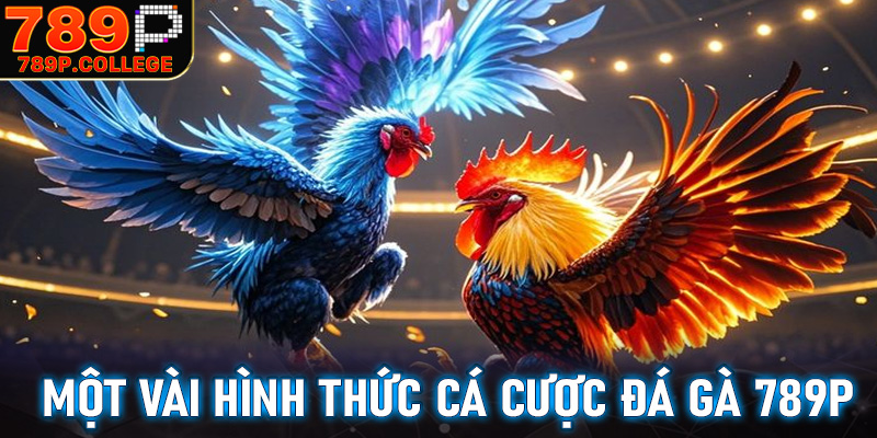 Một vài hình thức cá cược đá gà 789P có lượng người chơi nhiều nhất 2025