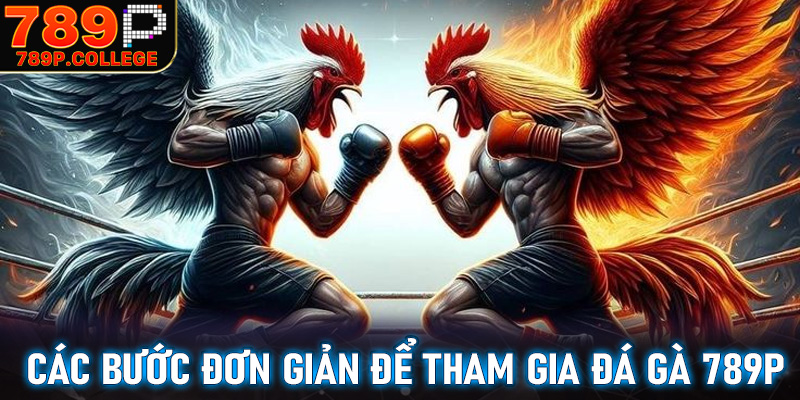 Hướng đẫn các bước đơn giản để tham gia cá cược đá gà 789P