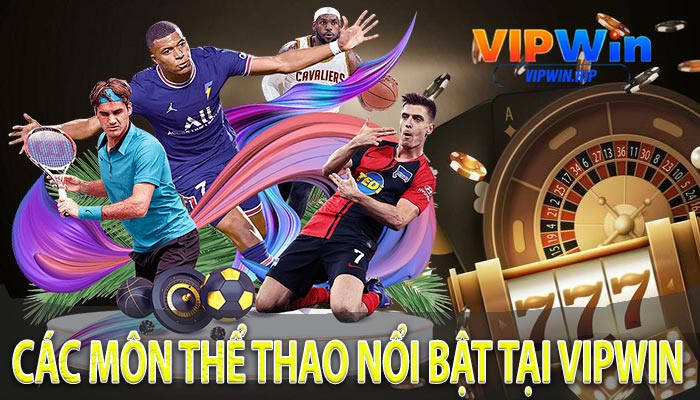 Các môn thể thao nổi bật tại VIPWIN